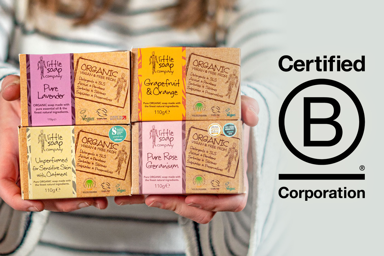 Celebrating B Corp Month